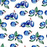 Watercolor seamless pattern with berries and leaves.