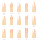 Different fashion nail shapes. Set kinds of nails. Salon nails type trends.