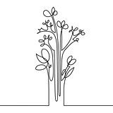 Continuous line drawing of flowers