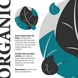 Organic food banner