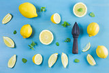 Fresh lemon fruits
