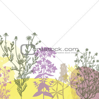 Colorful summer floral background