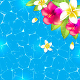 Flowers and leaves in the water.