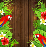 Parrots on a wooden background