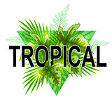 Green tropical banner