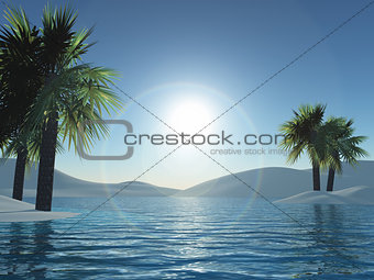 3D palm trees and ocean