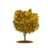 ficus tree with yellow leaves