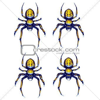Sprite sheet of crawling spider, game art animation