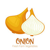 Vector onion isolated on white background.Vegetable illustration for farm market menu. Healthy food design poster. Cartoon style vector illustration