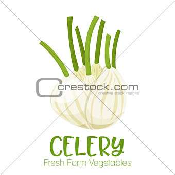 Vector celery isolated on white background.Vegetable illustration for farm market menu. Healthy food design poster. Cartoon style vector illustration