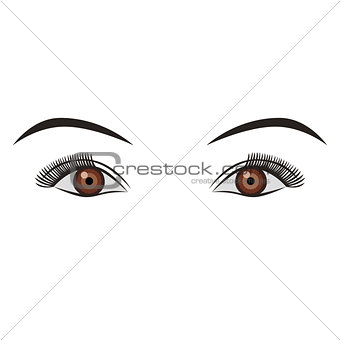 Object pair of eyes brown isolated