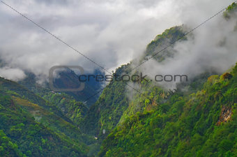 Mountain forest in the fog, cloud. Nepal, Annapurna region, Mardi Himal track.