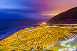 Wajima, Japan Coastal Rice Terraces