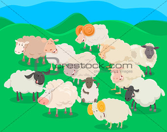 flock of sheep cartoon illustration