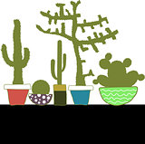 Colorful set with cactus in pot