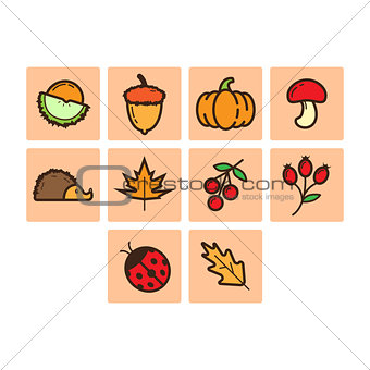 Flat color autumn season icon set