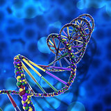 3D DNA strands