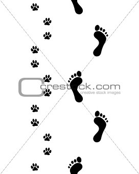 feet and paws,seamless