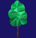 Polygon tree image
