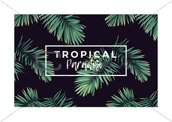 Dark vector tropical typography design with green jungle palm leaves.