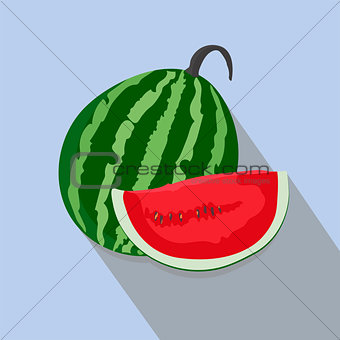 watermelons and slices isolated, vector illustration.