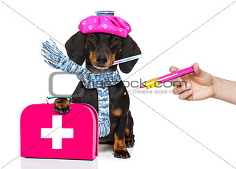 ill sick dog with illness and vaccine syringe