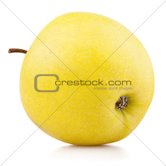 ripe yellow apple fruit isolated on white