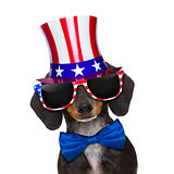 independence day 4th of july dog