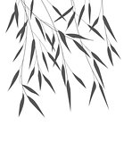 Vector bamboo leaves