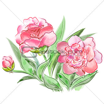Meadow flowers peonies  isolated on white background