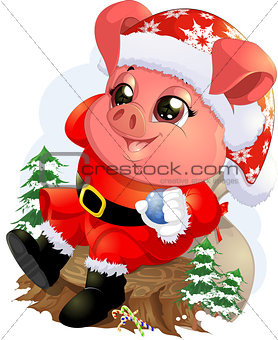 Pig in santa costume