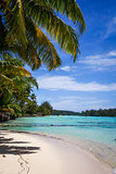 Paradise tropical beach and lagoon in Moorea Island