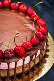 Delicious chocolate and cherry cheesecake dessert decorated with