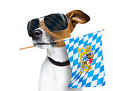 bavarian beer dog festival 