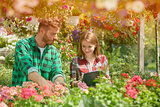 Man and woman working with garden flowers