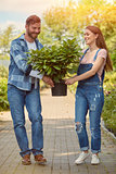 Cheerful gardeners carrying potted plant