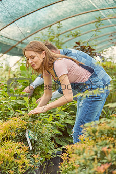 Smiling woman in hothouse
