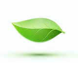 Eco concept icon