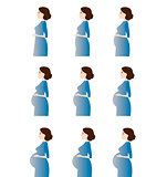 Vector illustration of pregnant female silhouettes showing changes