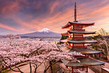 Mt. Fuji and Pagoda in Spring