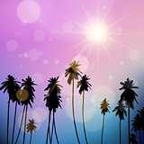 Palm trees landscape 