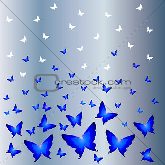 White butterflies with a shadow on a blue background