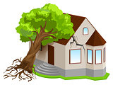 Property insurance against natural disasters. Earthquake tree fell on house