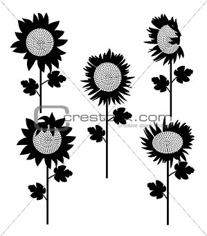 set of sunflowers silhouette 3