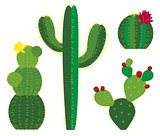 vector cactus colored