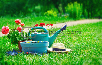 Home gardening and flower-growing still-life of flower