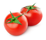 Red tomato vegetable on white