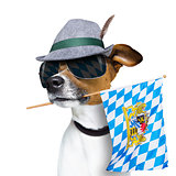 bavarian beer dog festival 