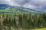 The landscape on the Carpathian Mountains in Ukraine 