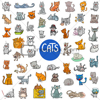 cartoon cat characters large set